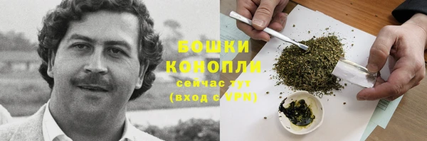 амф Сатка