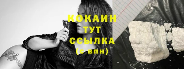 шишки Богородск