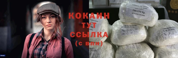 шишки Богородск