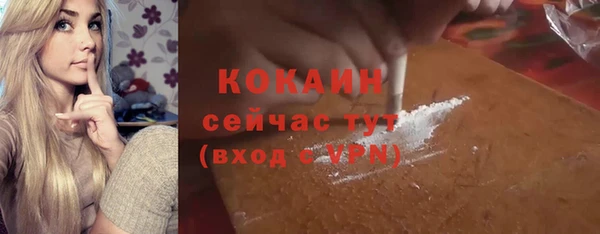 шишки Богородск