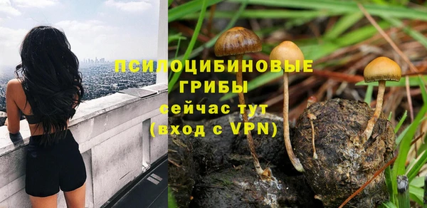 прущая мука Белокуриха