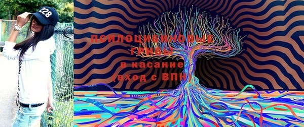 прущая мука Белокуриха