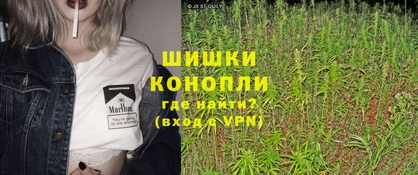 шишки Богородск
