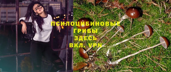 прущая мука Белокуриха