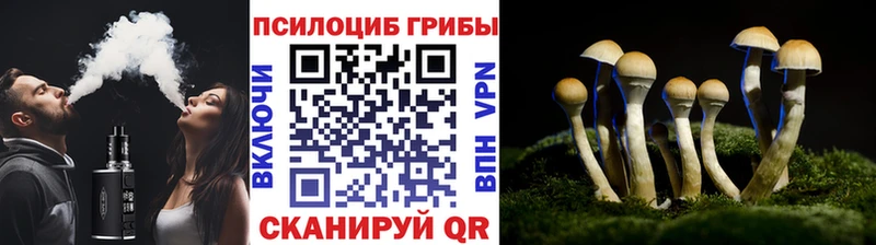 Галлюциногенные грибы Cubensis  даркнет формула  Донецк  купить наркотики цена 